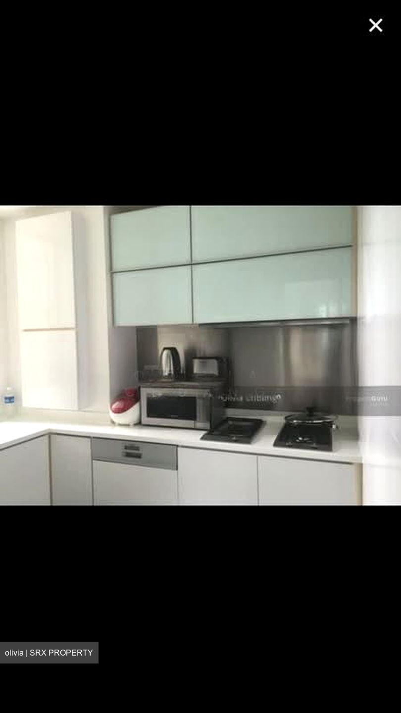 Cairnhill Residences (D9), Apartment #580144921